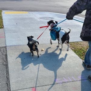 NIKE SF AIR FORCE 1 HIGH REALTREE WINTERIZED BOOTS